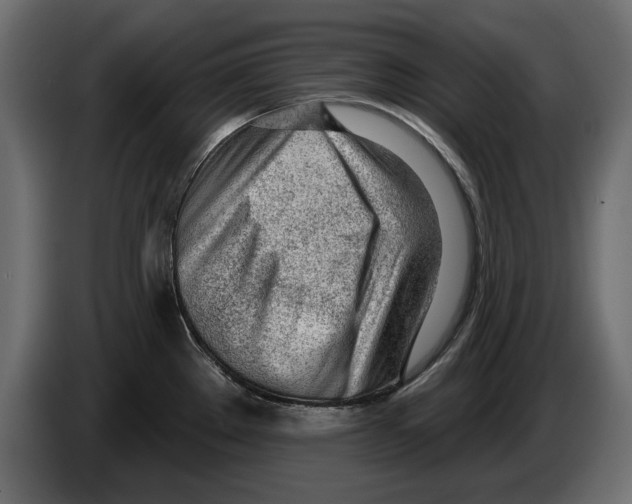X0000082981289200703020248