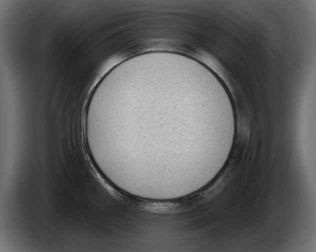 X0000082981290200703020248