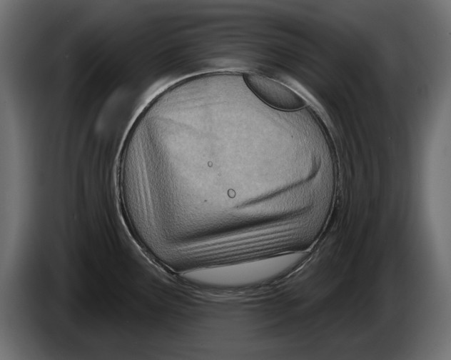 X0000082981291200703020248
