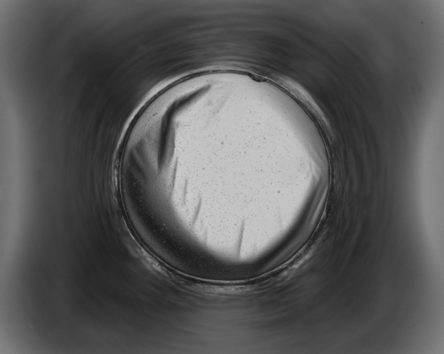 X0000082981292200703020248