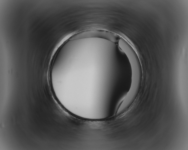 X0000082981293200703020248