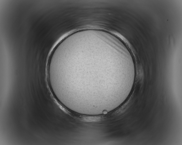 X0000082981294200703020248