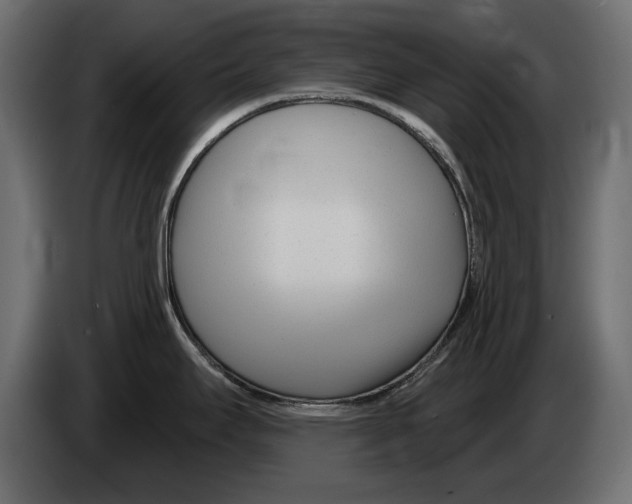 X0000082981295200703020248
