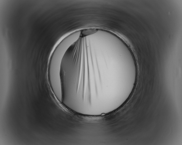 X0000082981296200703020248