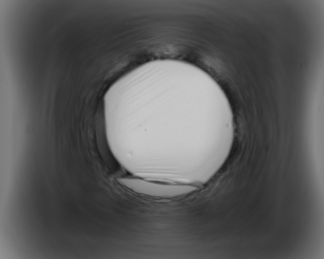 X0000082981297200703020248