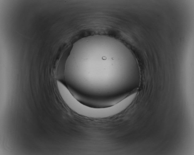 X0000082981298200703020248