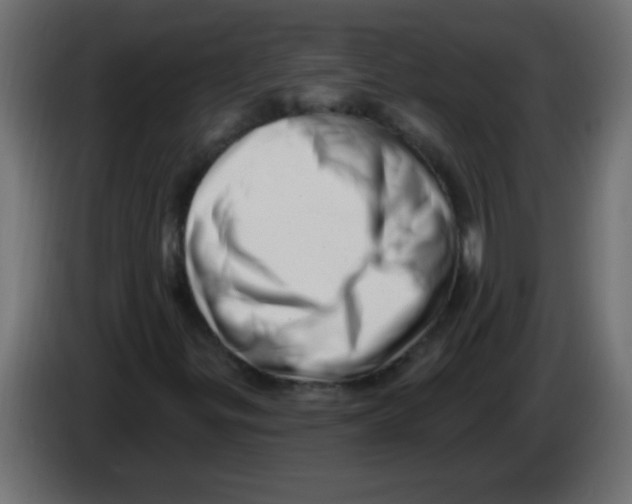 X0000082981299200703020248