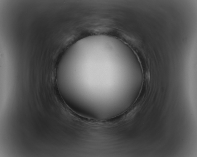 X0000082981300200703020248
