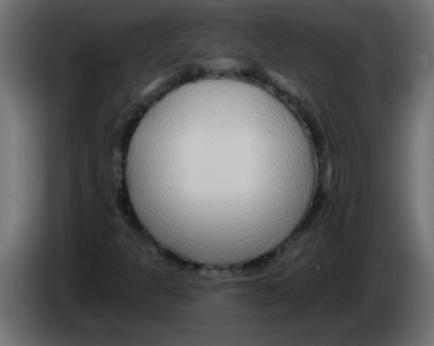 X0000082981301200703020248