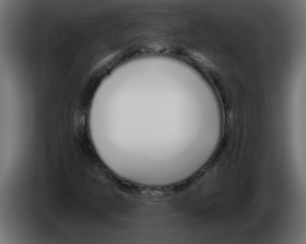 X0000082981302200703020248