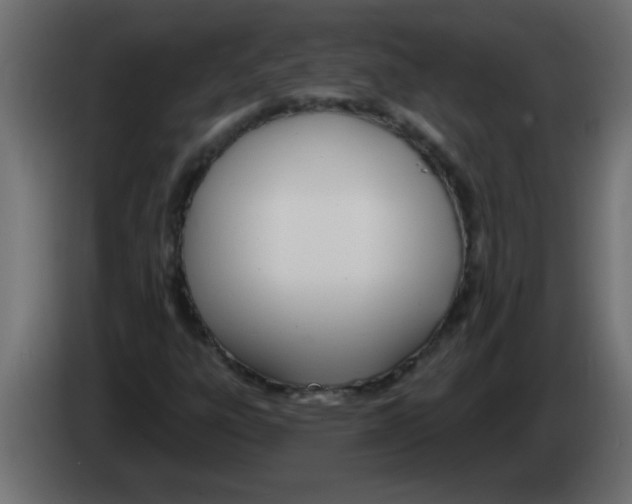 X0000082981303200703020248