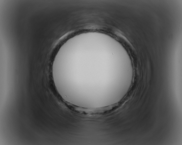 X0000082981304200703020248