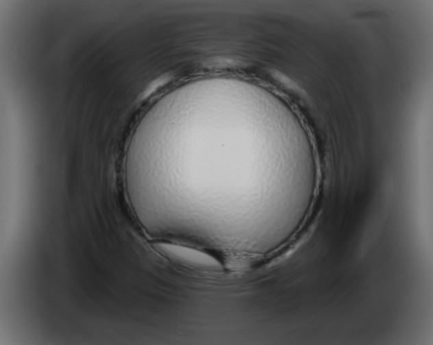 X0000082981305200703020248