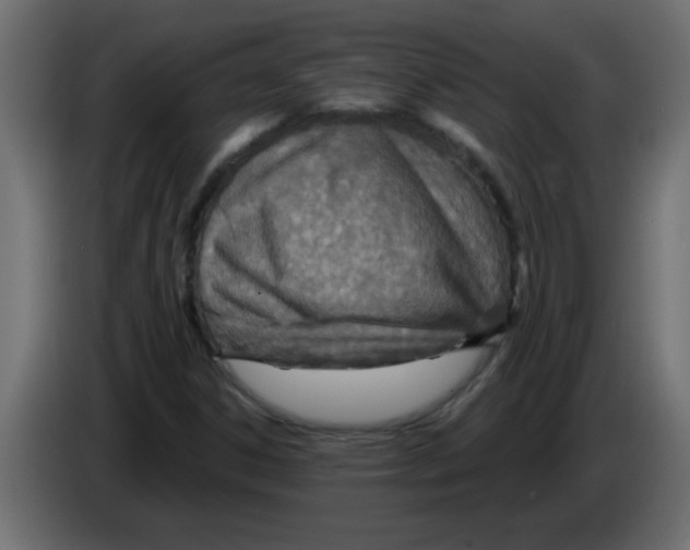 X0000082981306200703020248