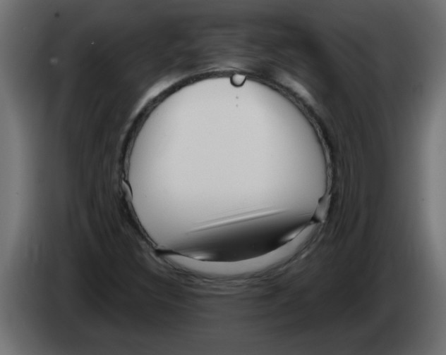 X0000082981308200703020248