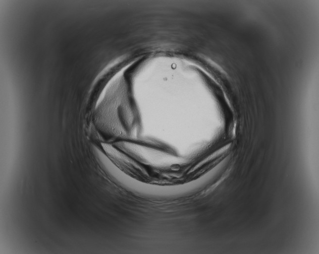 X0000082981309200703020248