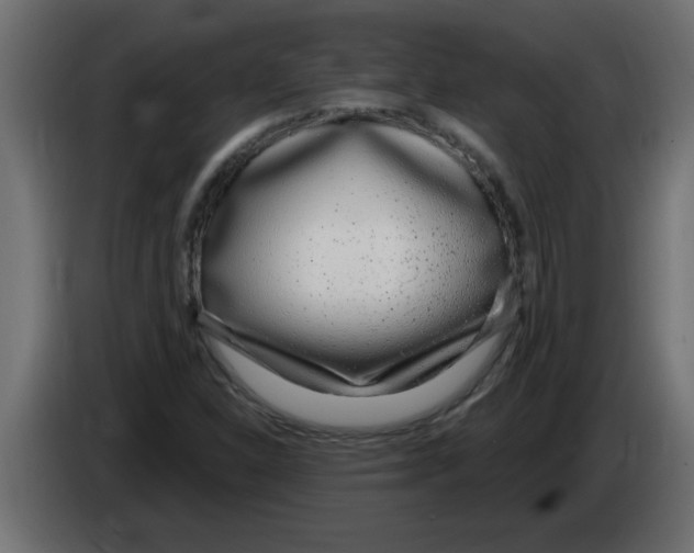 X0000082981310200703020248