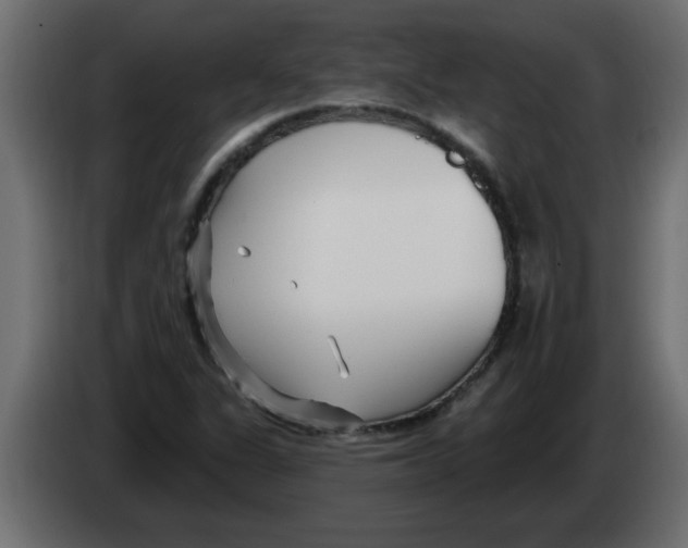 X0000082981311200703020248