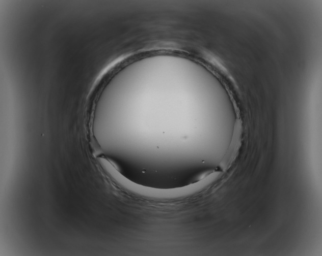 X0000082981312200703020248