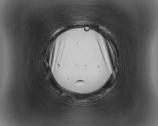X0000082981313200703020248
