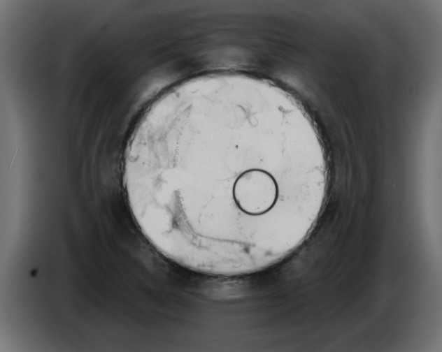 X0000082981314200703020248
