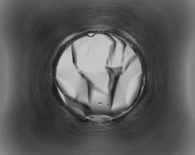 X0000082981315200703020248