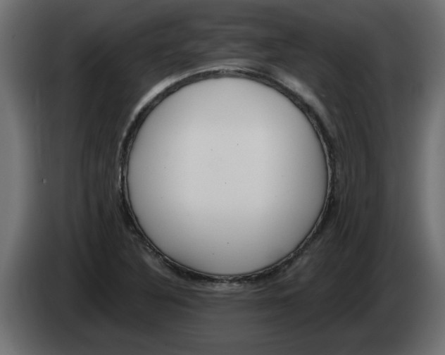 X0000082981316200703020248