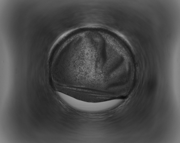 X0000082981319200703020248
