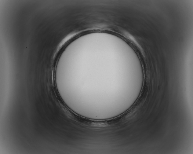 X0000082981320200703020248