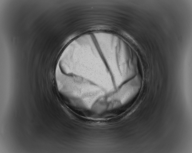 X0000082981321200703020248