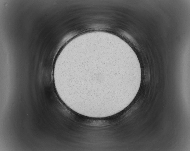 X0000082981322200703020248