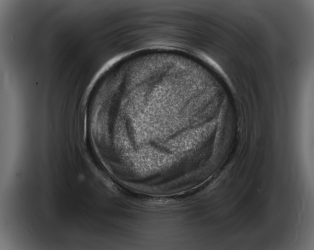 X0000082981323200703020248