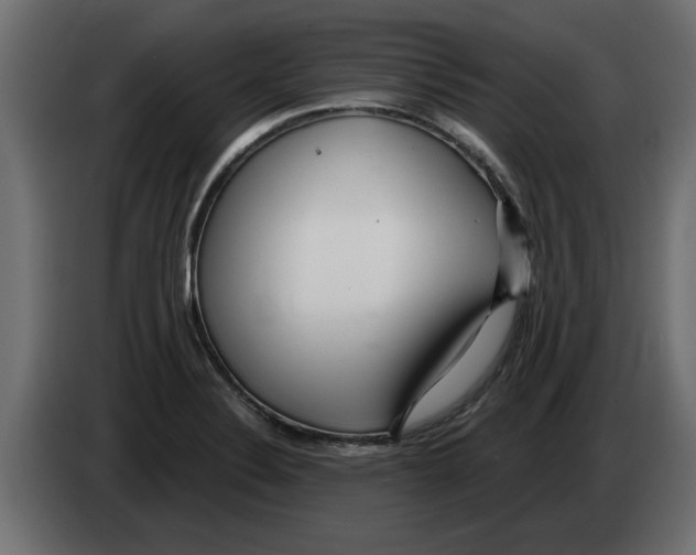 X0000082981324200703020248
