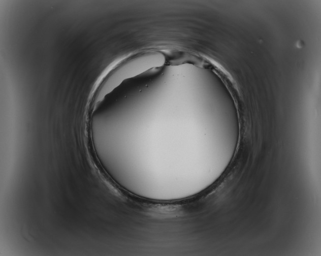 X0000082981325200703020248