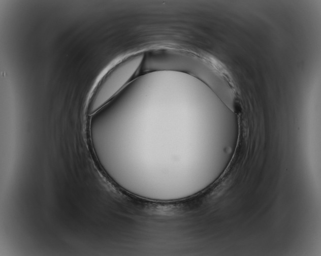 X0000082981326200703020248