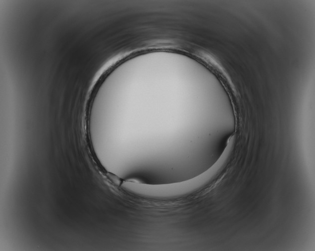 X0000082981328200703020248