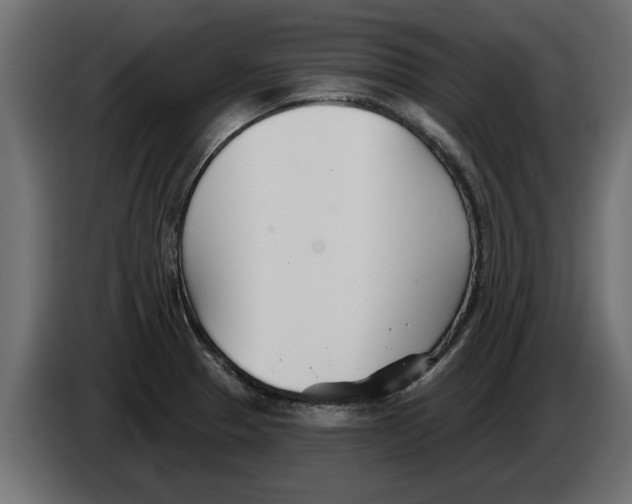 X0000082981329200703020248