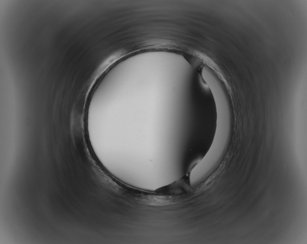 X0000082981330200703020248