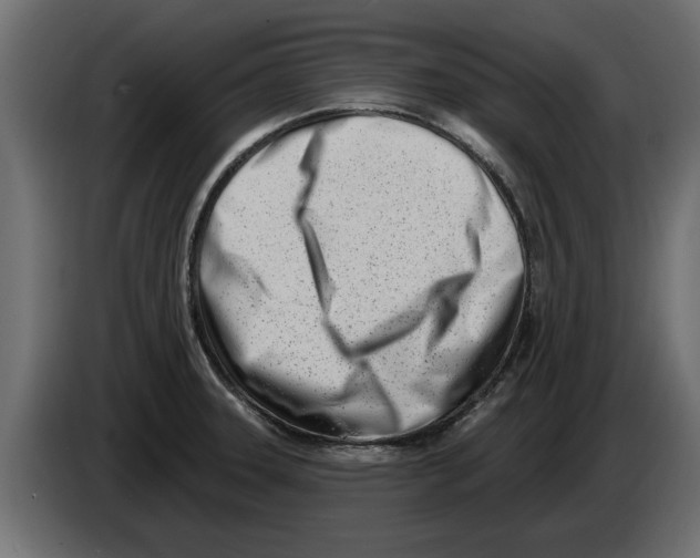 X0000082981331200703020248