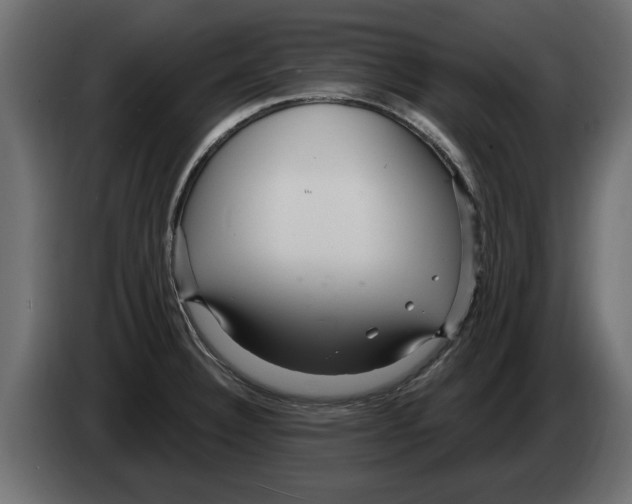 X0000082981332200703020248