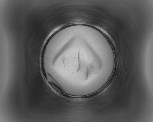 X0000082981333200703020248