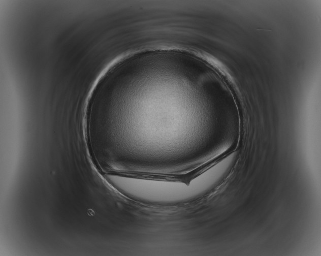 X0000082981334200703020248
