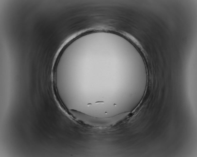 X0000082981335200703020248
