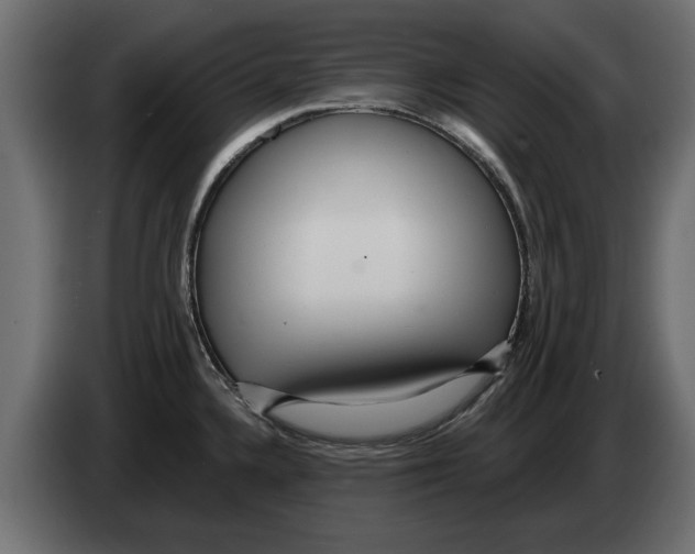 X0000082981336200703020248
