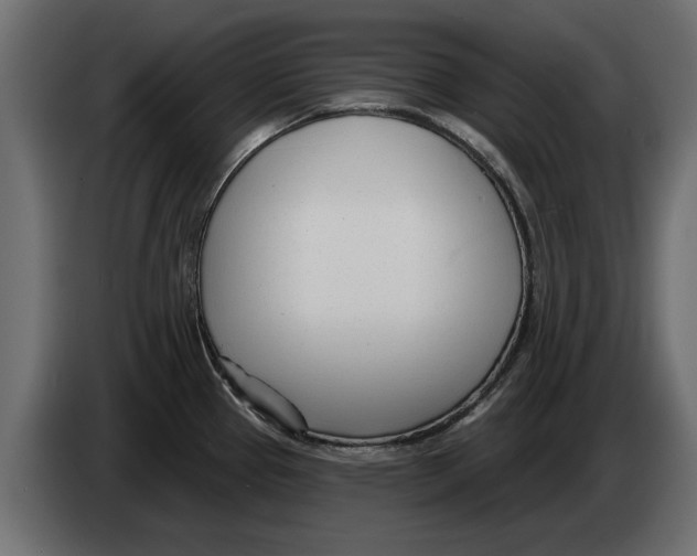 X0000082981337200703020248