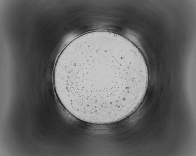 X0000082981338200703020248