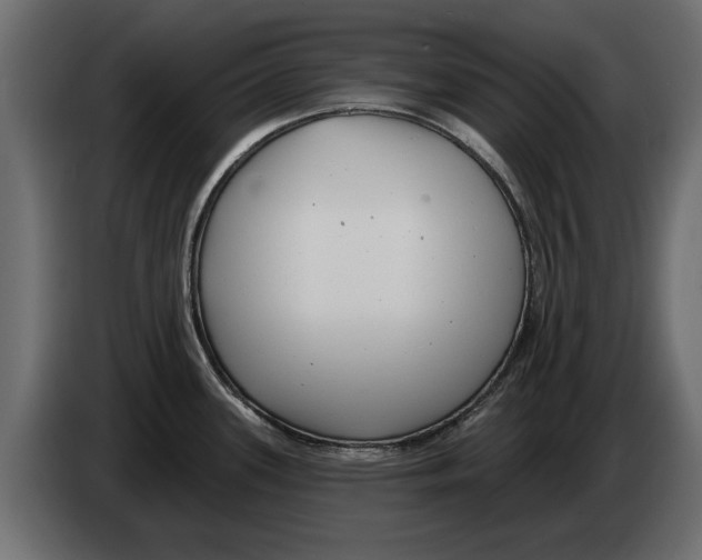 X0000082981339200703020248