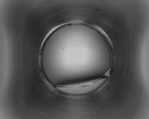 X0000082981340200703020248