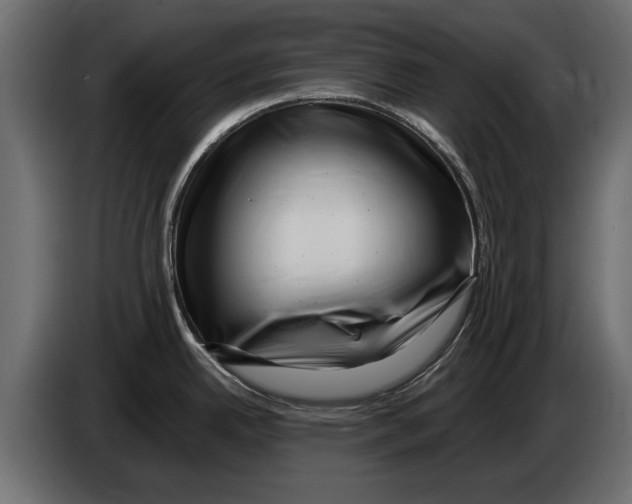 X0000082981342200703020248