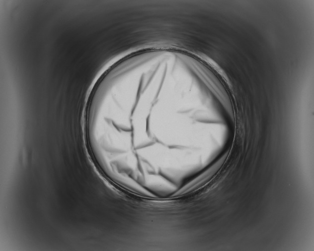 X0000082981343200703020248